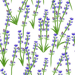 Fototapeta na wymiar Seamless Vector Lavender on white background Pattern. Great for Fabrics, Scrap booking, bullet journal, textiles, blankets, pillows, cover,