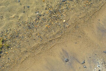 footprint on the sand