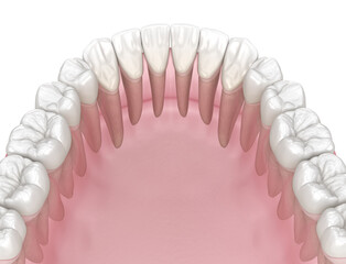 Morphology of human teeth. Medically accurate tooth 3D illustration
