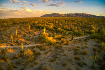 Golden hour in the Sonoran Desert National Monument, Maricopa County, Arizona, looking towards the...