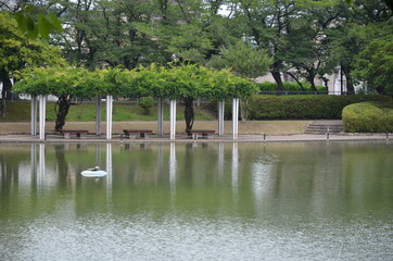 lake in the park