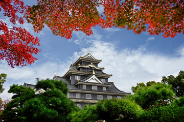 Okayama castle in autumn season of Okayama city, Japan.