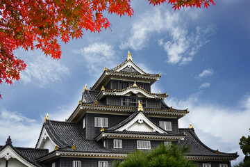 Okayama Castle and Maple leaves in Autumn Season of Japan.