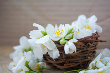 White jasmine flowers, traditional green tea ingredient, aromatherapy flavor