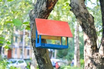 Bird feeder on tree in city park