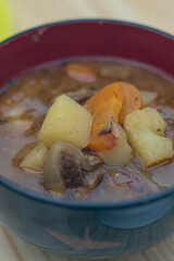 beef stew served in a bowl with meat and veggies