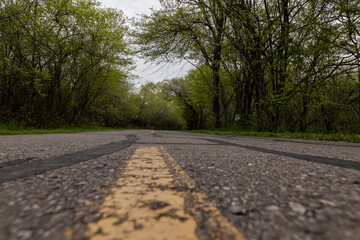Forest Path