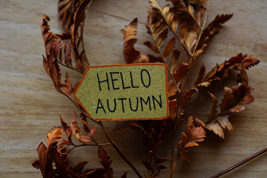 Hello Autumn with dried fern leaves. welcoming autumn fall season concept background with vintage wooden board