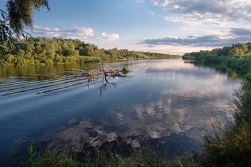 summer landscape with river