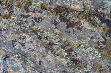 texture of stone