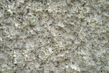 White cement wall texture and seamless background