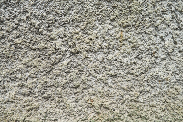 white concrete texture for background
