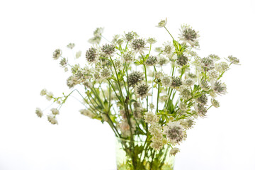 A bouquet of decorative flowers in a vase on table. Flowers in a vase by the window