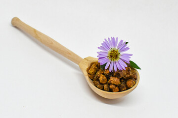 Ambrosia (bee bread) in a wooden spoon on a white background, chicory flower lies on top. Selective focus. Beekeeping product. Healthy food concept. Wooden spoon with bee bread and chicory