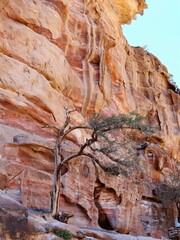 Natural colorful rock section in Petra, Raqmu, an UNESCO World Heritage Site. A historical archaeological park with caves, temples, and tombs reveal impressive civilization. 