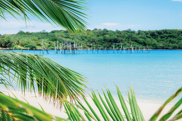 Coconut leaves on island.