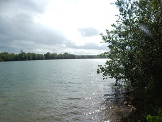 lake in the forest