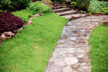 Walkway in the garden.