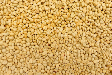  Close up of coffee beans for background                                