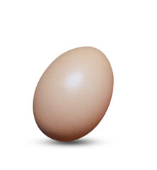 Boiled or Fresh Chicken Egg on Isolated White Background Close Up.