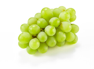 マスカット　オブ　アレキサンドリア