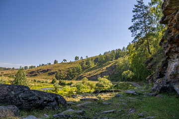 Fototapeta na wymiar A beautiful rock surrounded by pine and birch trees