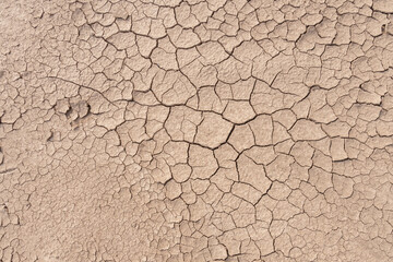Dry soil ground cracks background texture in drought, Top view