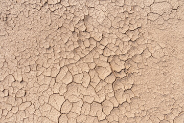 Dry soil ground cracks background texture in drought, Top view