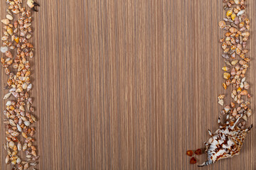 Seashells on  beige brown wooden surface. Copy space. Space for text.  Striped  background.