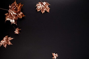 Autumn composition. Golden maple leaves on black background. Autumn, fall concept. Flat lay, top view, copy space