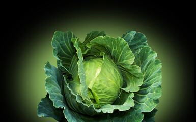 Green cabbage on a rustic wain.Fruit on a black background.