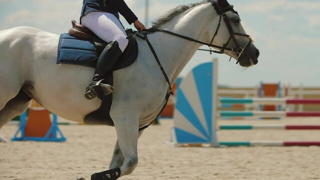 Woman rider galloping at training parkour arena outdoor show jumping competition