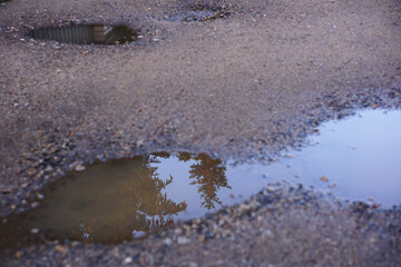 reflections in a puddle on a country road