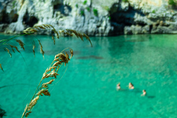 mare e spiaggia del Cilento in Italia