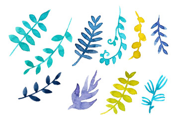 Fototapeta premium あおば