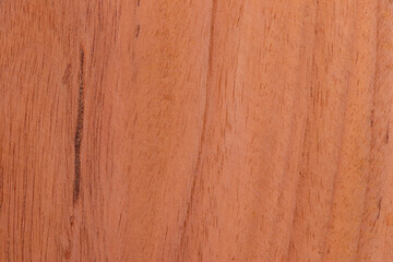 Wooden texture, background and backdrop