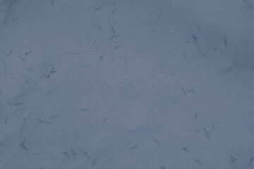 abstract grey and dark blue colors background for design