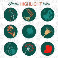 Set of social media highlight covers with hand-drawn floral elements