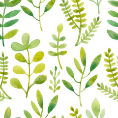 Green floral pattern on white background. Watercolor print. Seamless texture. Elegant template for fashion prints. Hand-drawn illustration