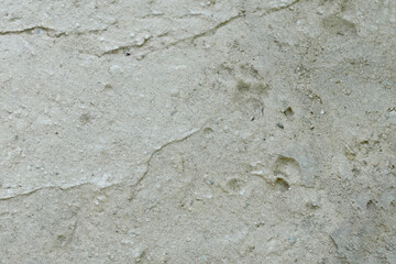 Background. A fragment of a concrete wall in close-up.