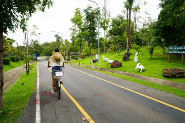 a tourist riding a bicycle in the park in Chiang Mai, Thailand, street of Royal Flora Rajapruek park