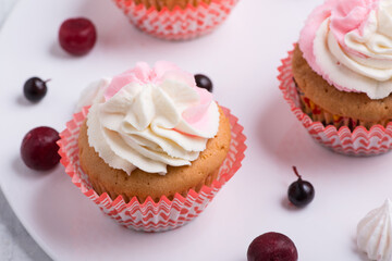 cream cupcake on white plate, top view, close-up
