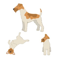 Cute cartoon fox terrier.Vector illustration.