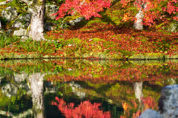 Scenery of Kyoto in Japan. The trees that turned red in the pond are reflected.