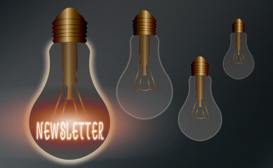 Conceptual hand writing showing Newsletter. Concept meaning the bulletin was given to members of a company regularly Realistic colored vintage light bulbs, idea sign solution