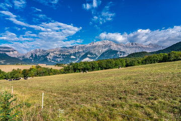 Landscape at Saint Baudille et Pipet, Trieves in Vercors, French Alps, France