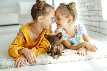 Obraz premium Child with a dog. Little girls play with a dog on the carpet at home. High quality photo.