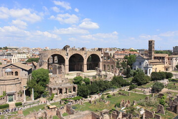 Fototapeta na wymiar The Roman Forums, a walk in the ancient Roman Forum makes us travel through time.