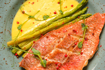 Grilled meat steak with sauce and spices served on a plate over bright pastel blue mint background.