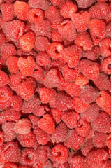 Ripe raspberries organic farm product with medicinal and nutritional value